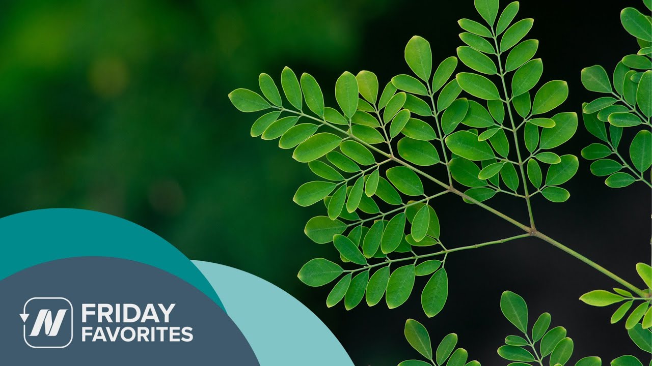 Friday Favorites: The Benefits and Side Effects of Moringa Leaf Powder