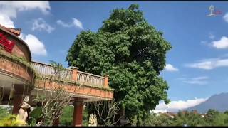 Ubud Hotel & Cottages Malang - Desinfektan Ubud Hotel dan Cottages to be Normal