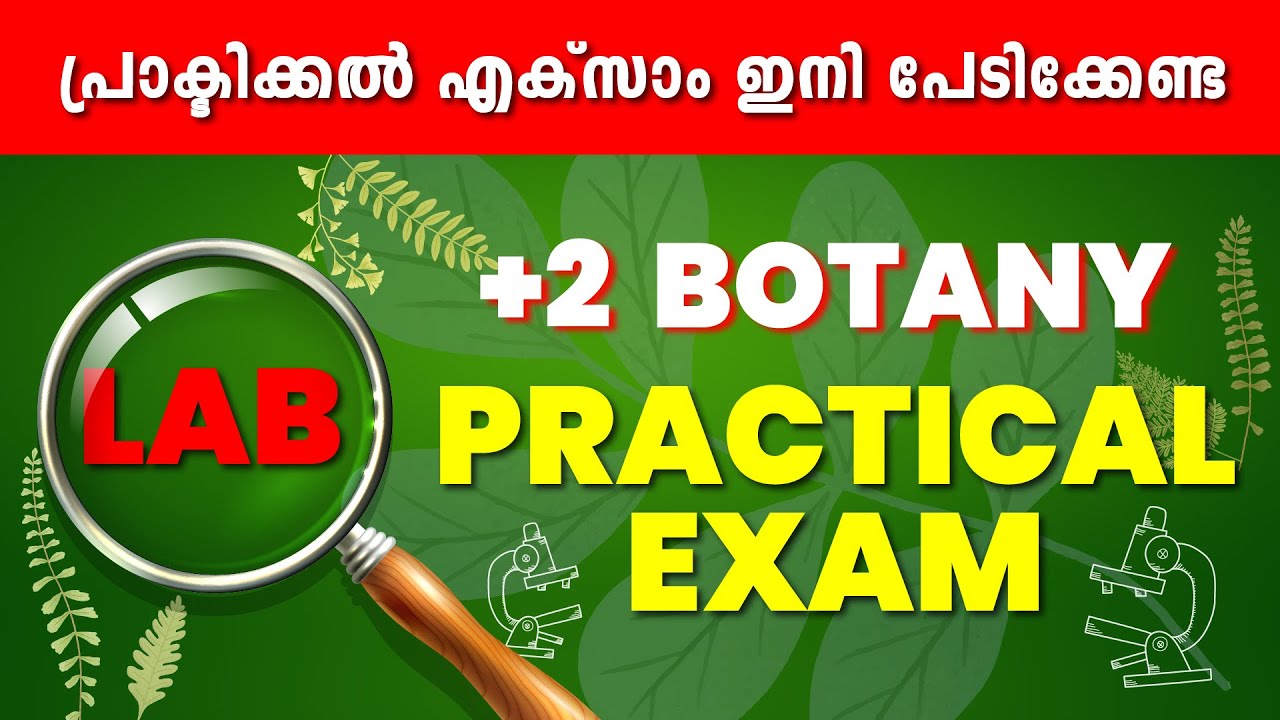 Plus Two Public Exam | +2 Lab Exam | Botany Lab | Revision Class | Exam Winner