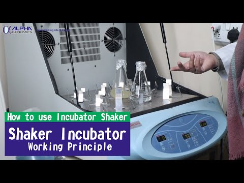 Incubator Cum Orbital Shaker