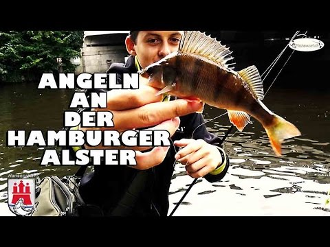 FISHING ON THE HAMBURG ALSTER