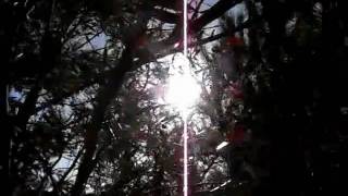 Zaz Zetoun Mind - Solar Chant -