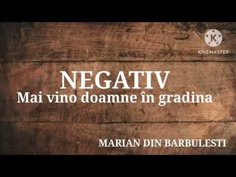 NEGATIV - Mai vino doamne in grădină - Marian din Barbulesti 