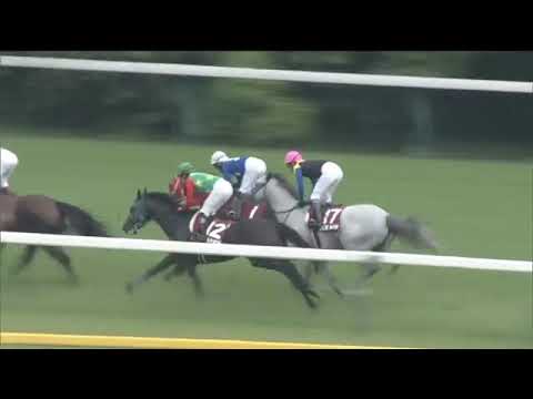 2020.05.31 Meguro Kinen (JPN) - King of Koji