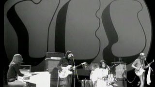 Yes - No Opportunity Necessary, No Experience Needed / Looking Around / Survival