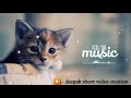 Chanda Chamke Cham Cham Lover Whatsapp Status Love Status StatusWaleBhaiya