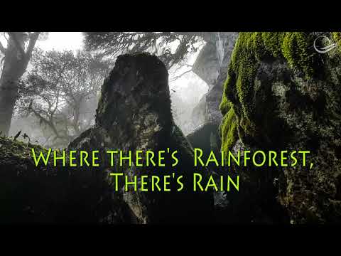 Explore Gondwana Rainforest in Dorrigo and New England in Australia