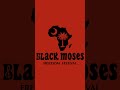 2nd Annual Black Moses Freedom Festival www.blackmosesfreedomfestival.com