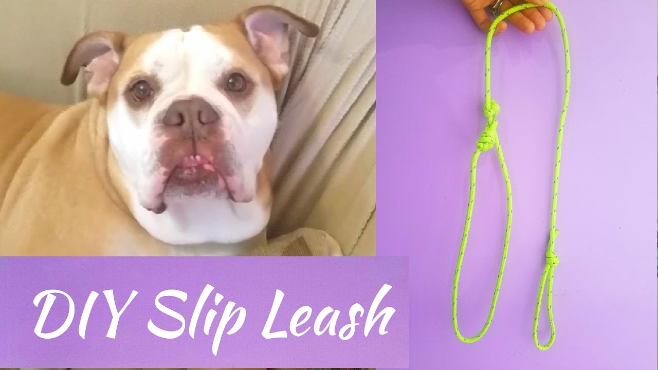 DIY Slip Lead - Make a Leash from a Rope!