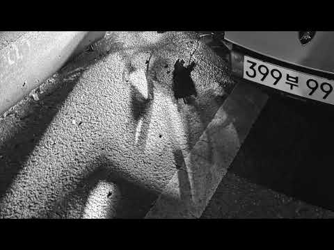 한요한 and ROCKSTAR CLUB