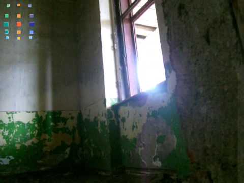 niny vs ninja from cermei