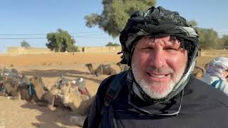10 - Morocco 2025 - Sahara Desert Dunes - Camel Ride