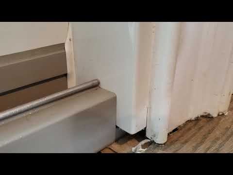 Carpenter Ants Infest Kitchen in Marlboro, NJ