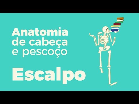 Anatomia de Cabeça e Pescoço: Escalpo