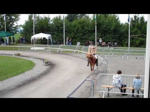 DJIM 2010 - H.V2-ZF - www.isibless.de