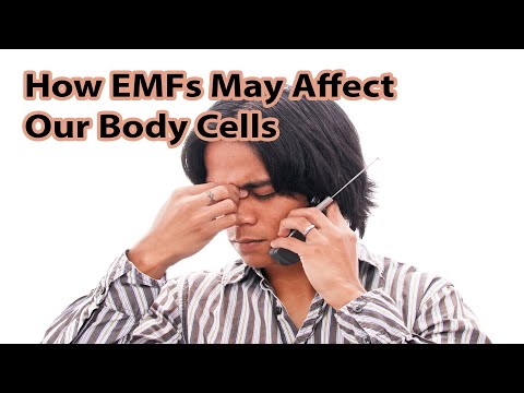 How EMFs May Affect Our Body Cells Make The Name 'Cell' Phone The Ultimate Irony