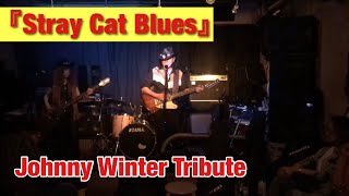 『Stray Cat Blues』(Johnny Winter Trbute)