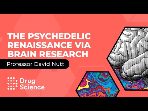 The Psychedelic Renaissance via Brain Research - Professor David Nutt