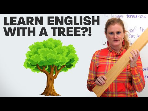 學習英語詞彙......用一棵樹! (Learn English Vocabulary...with a tree!)