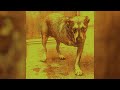 Alice In Chains - Grind