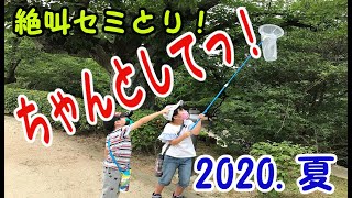【セミとり】#06 セミくん！ちゃんとしてっ！