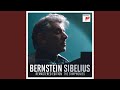 Symphony No. 1 in E Minor, Op. 39: II. Andante