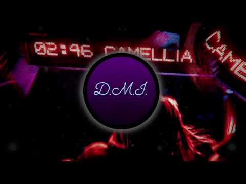 ​ @OBLXKQ , SLXEPING TOKYO - CAMELLIA