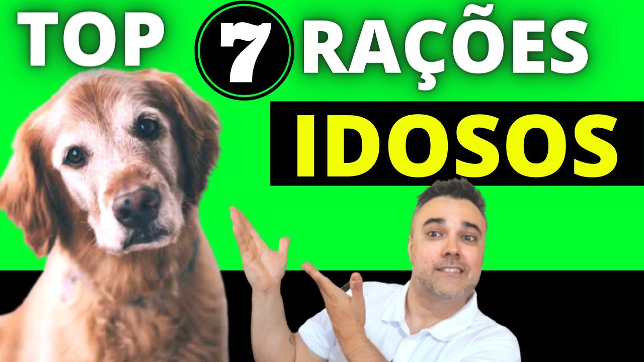 TOP 7 MELHORES RAÇÕES CÃES IDOSOS! Só as melhores rações senior!