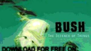 bush - Warm Machine - The Science Of Things