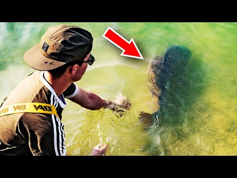 Catching BIG Carp In France - (Your First Carp Fishing Holiday)