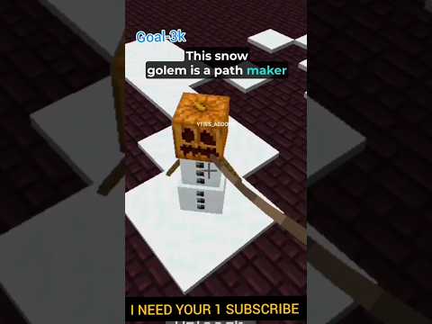 Insane Builder Snow Golem in Minecraft!