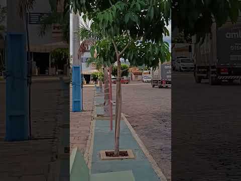 Quinta feira - Uibaí-Ba