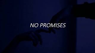 Shayne Ward - No promises (Español &amp; English)