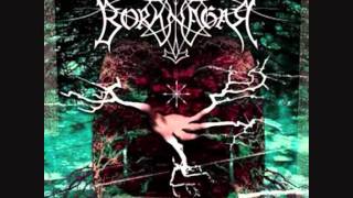 Borknagar - The Genuine Pulse