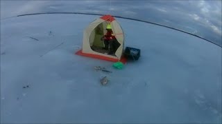 Зимнюю рыбалку на финский залив