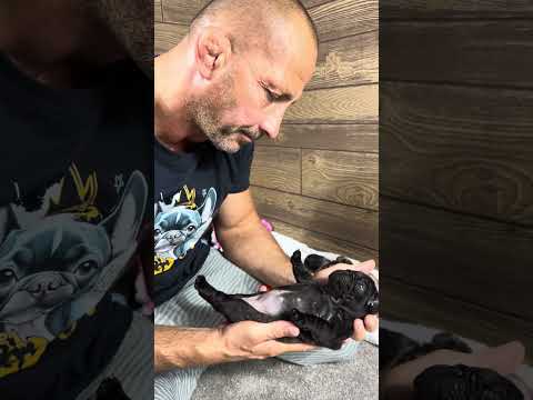 Video 5