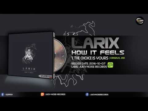 Larix - The Choice Is Yours