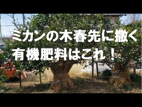 果樹に春に肥料を与えるにはどのような肥料を使用すればよいですか？  庭園