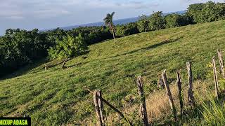 Download lagu MIS$ KITTY DAUGHTER IS TALKED ABOUT mp3 Download lagu MIS$ KITTY DAUGHTER IS TALKED ABOUT mp3