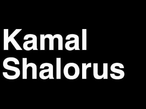 How to Pronounce Kamal Shalorus Lightweight Fighter UFC MMA TKO KO Knock Out Punch Hit