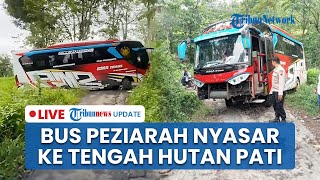 LIVE: Bus Peziarah Nyasar ke Tengah Hutan Pati, Sempat Terperosok Gegara Jalur Sempit dan Licin