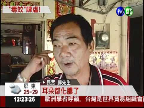 小黑蚊叮咬! 男嬰耳朵發炎化膿