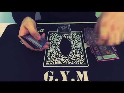 Team G.Y.M - David Erpen - Top32 YCS Rimini 2017 - Zoodiac