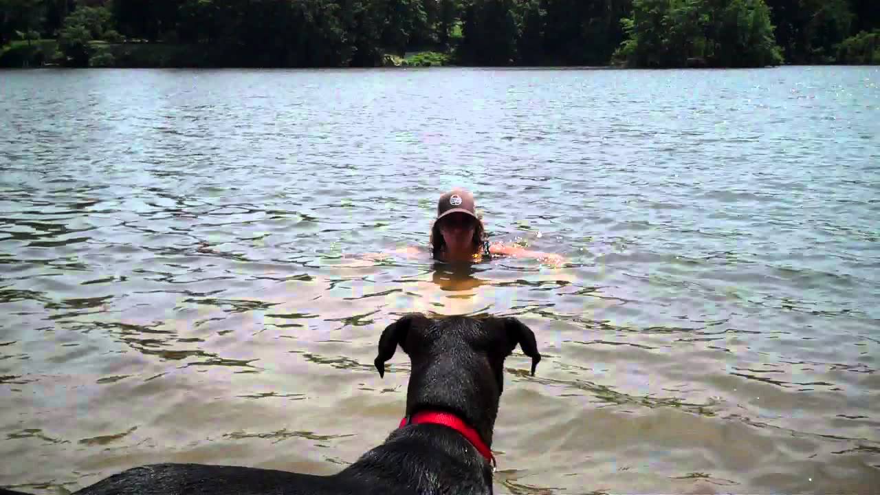 Erin teaches Lucy how to swim