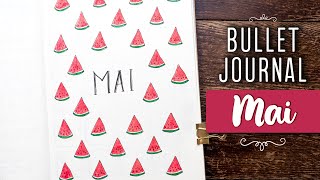 Mai PLAN WITH ME | deutsch | Bullet Journal 2018