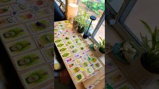 Fabled Fruit video thumbnail