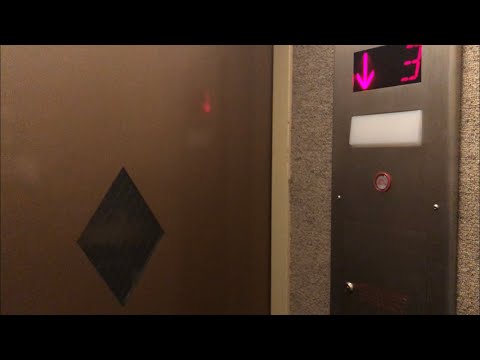 Neat Haughton Hydraulic Elevator @ Ogden Arms - Denver, CO.