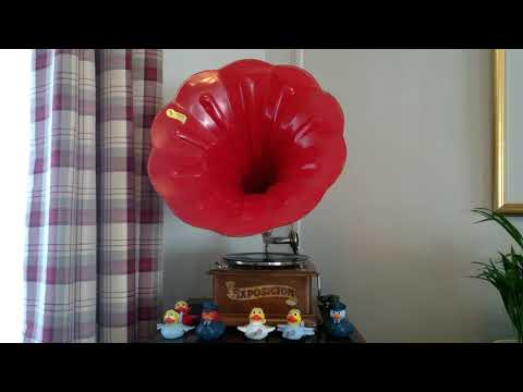 The Ipana Troubadours S.C. Lanin - Sunny - Sunny - Columbia 80rpm- Exposicion Horn Gramophone