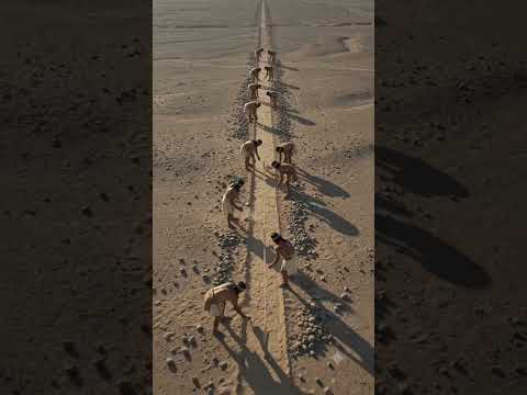 The Evasive Heart - Nazca