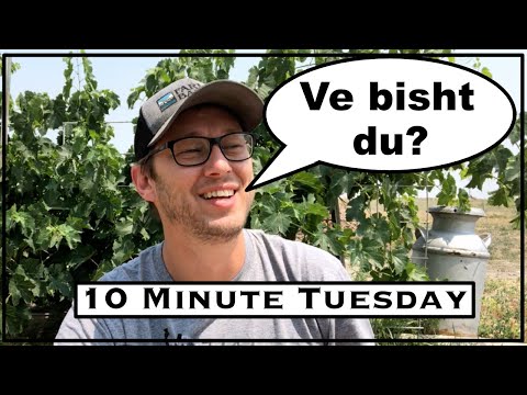 Do Amish have their Own Language? Pennsylvania Dutch